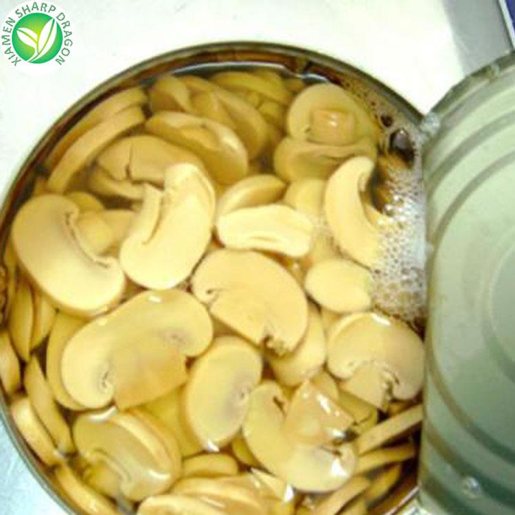 canned whole button mushroom wholesale for import buyers