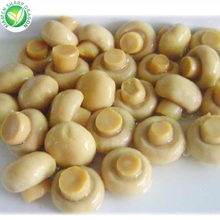 sliced canned champignon mushroom for foodservice and factories