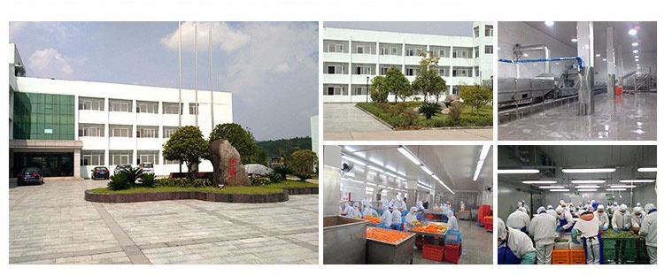 XMSD canned mushroom company profile for B2B buyers