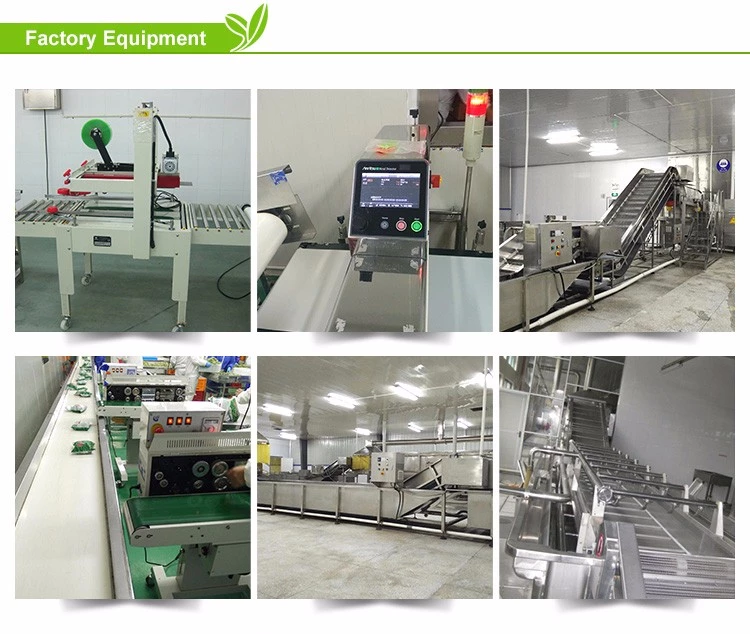 XMSD fresh carrot processing equipment XMSD fresh carrot processing equipment