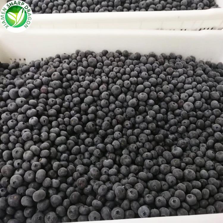 stroški zamrznjenih borovnic frozen blueberries cost