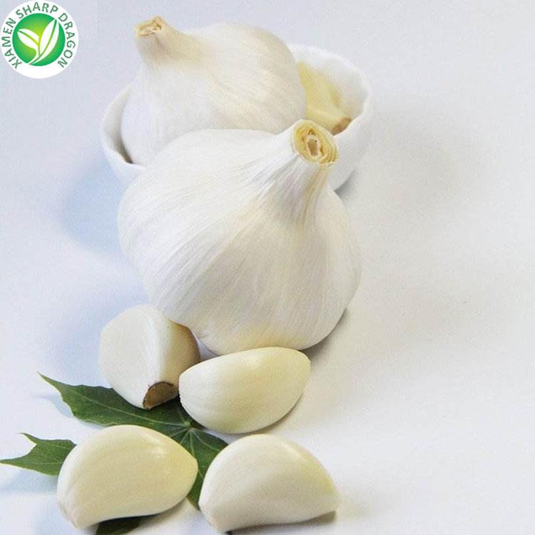 svež česen v razsutem stanju fresh garlic in bulk