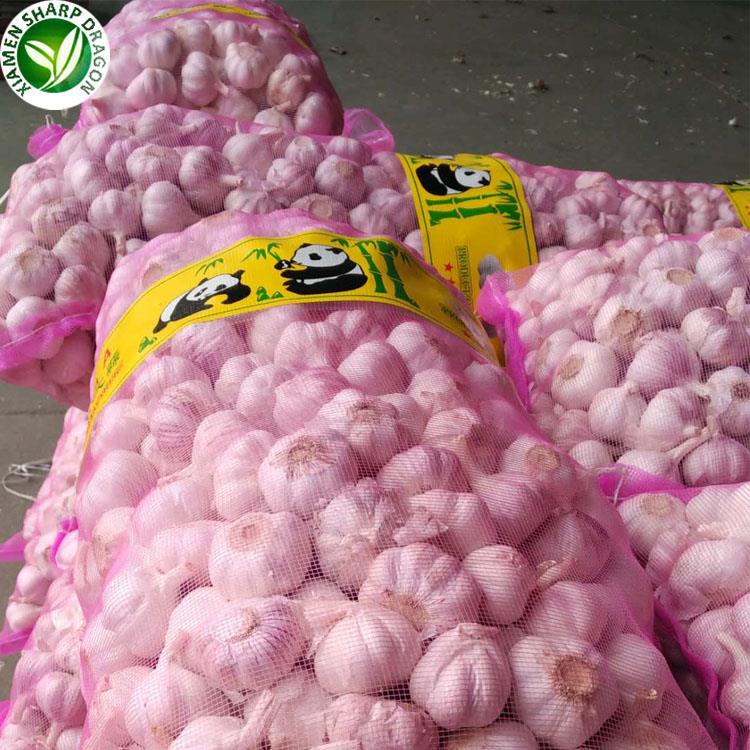 v prodaji svež česen fresh garlic on sale