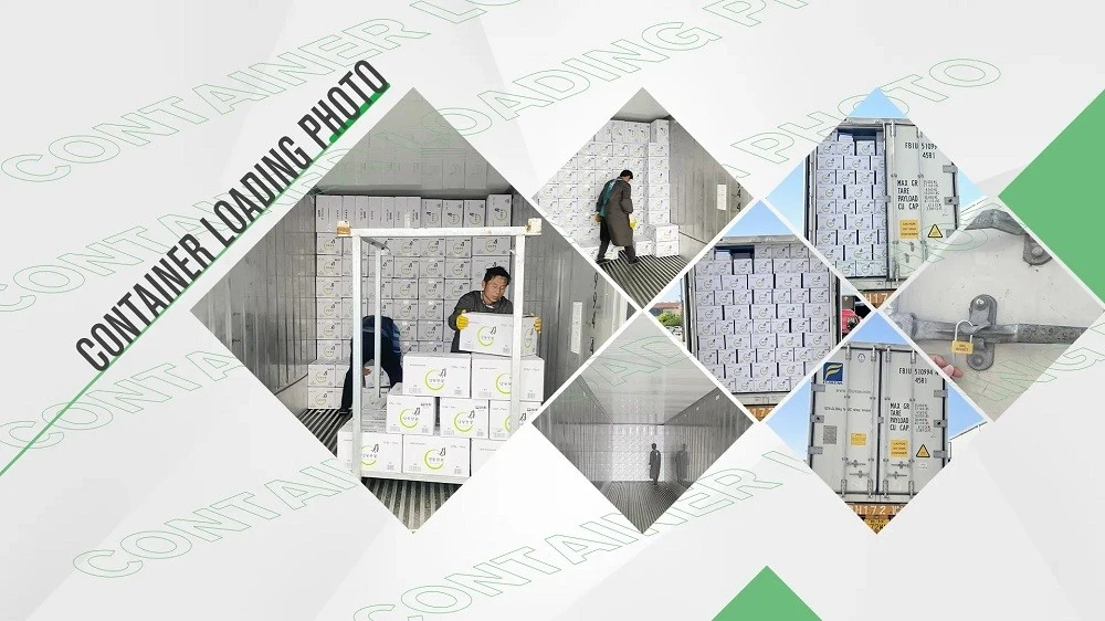 Cold-chain loading for frozen mango shipments Frozen-food cartons loaded inside refrigerated containers