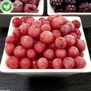 Na debelo zamrznjeno lingonberry