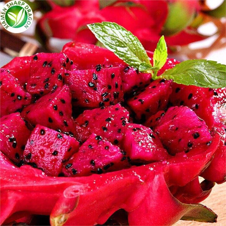 Red Dragon Fruit For Sale